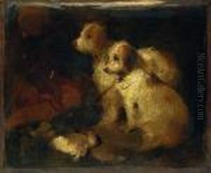 Study Of Two Dogs by Sir Edwin Henry Landseer