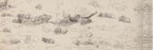 Studies Of Sheep - view 1