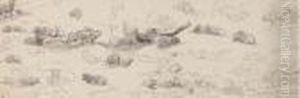 Studies Of Sheep by Sir Edwin Henry Landseer