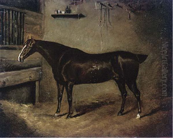 A Favourite Hunter - view 1