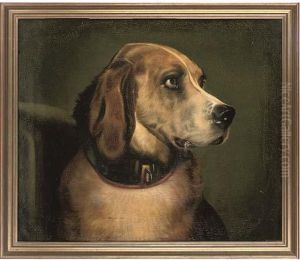 A Faithful St. Bernard