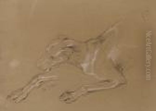 A Study Of A Dog - view 1