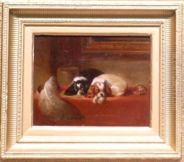 Two King Charles Spaniels - view 1