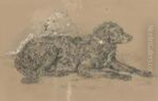Study Of Two Dogs, One Possibly A Water Spaniel - view 1