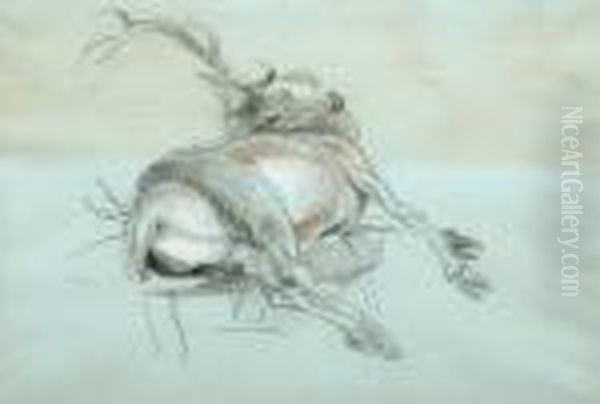 Study Of A Dead Stag - view 1