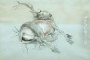 Study Of A Dead Stag by Sir Edwin Henry Landseer