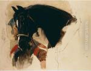My Horse