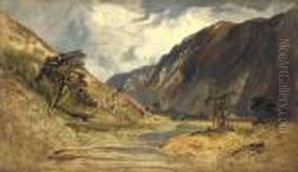 View Of Glenfeshie - view 1