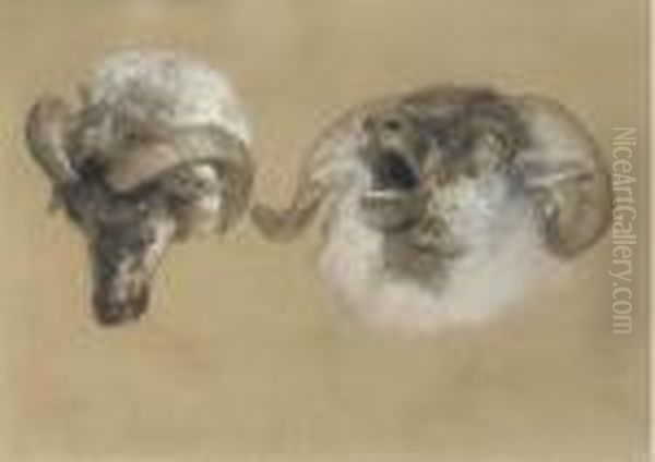 Study Of Ram's Heads - view 1