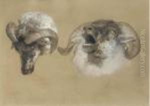 Study Of Ram's Heads by Sir Edwin Henry Landseer