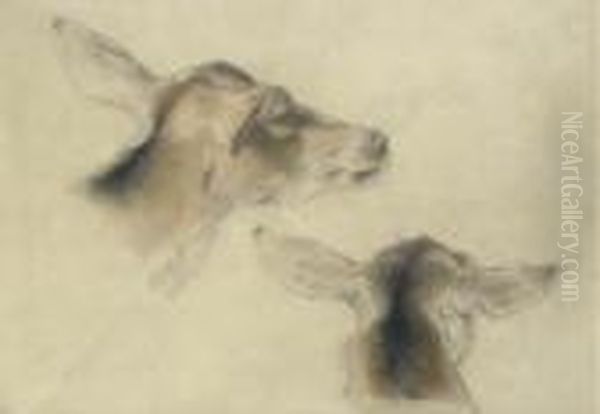 Study Of Deer's Heads - view 1