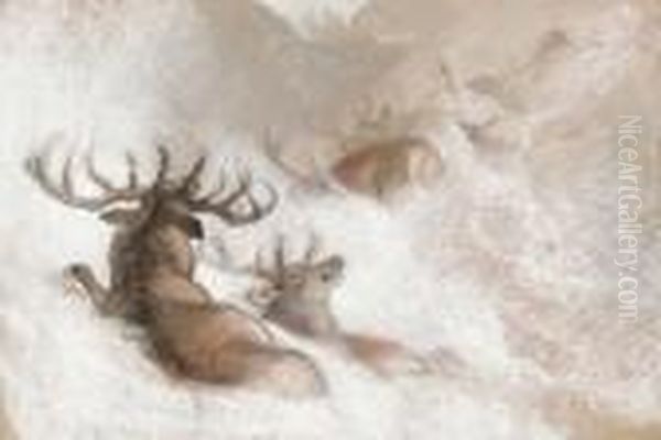 Stags In A Snowdrift - view 1
