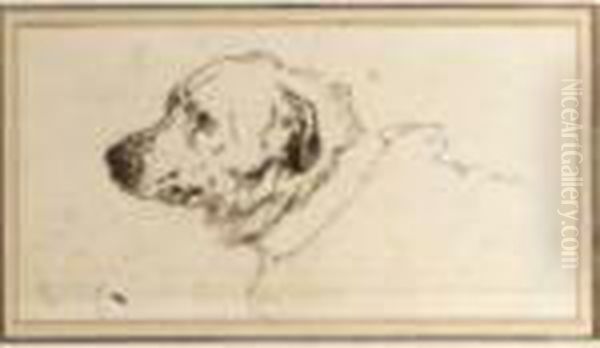 Head Of A Mastiff - view 1