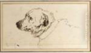 Head Of A Mastiff