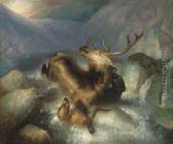 Deer And Deerhounds In A Mountain Torrent - view 1
