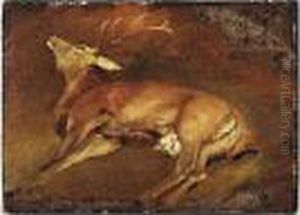 Study Of A Dead Stag by Sir Edwin Henry Landseer
