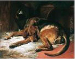 Sleeping Bloodhound