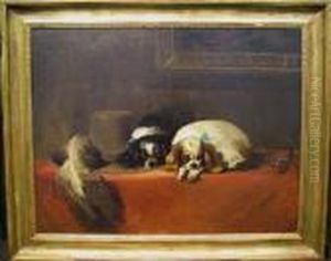 Two Cavalier King Charles Spaniels Beside A Feathered Hat