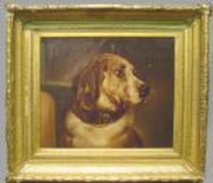 Portrait Of 'odin' by Sir Edwin Henry Landseer