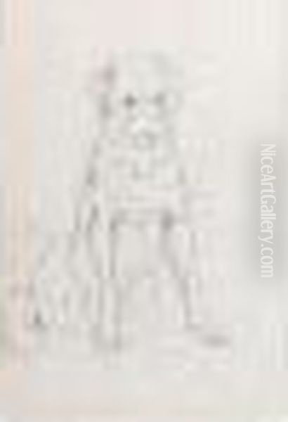 A Group Of Drawings Of Dogs - view 1