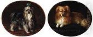 Yorkshire Terrier; And Miniature Collie by Sir Edwin Henry Landseer
