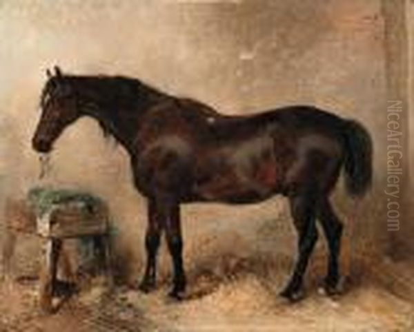 Lord Charles Russell's Charger, Pretender, In A Stable - view 1