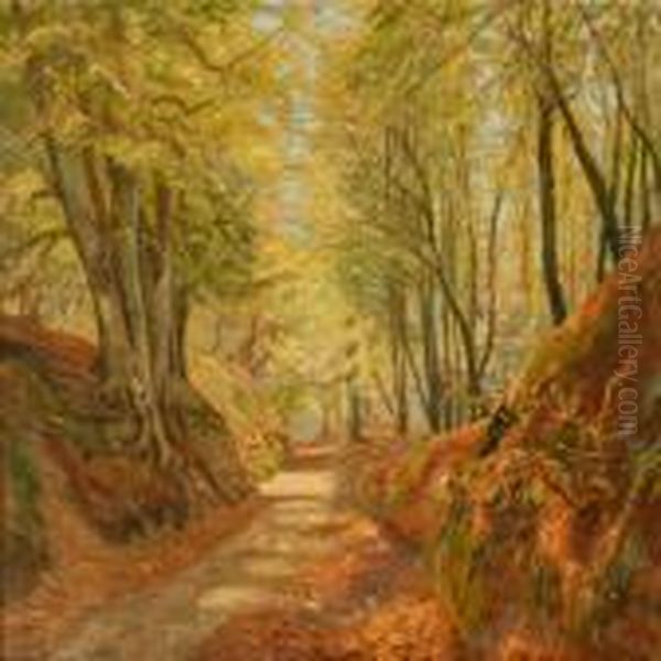 Summer Forest Scene - view 1