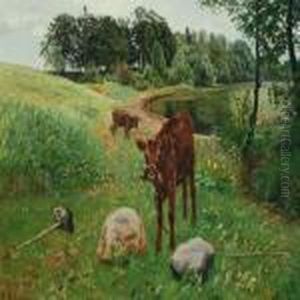 Grassing Calves By A Lake