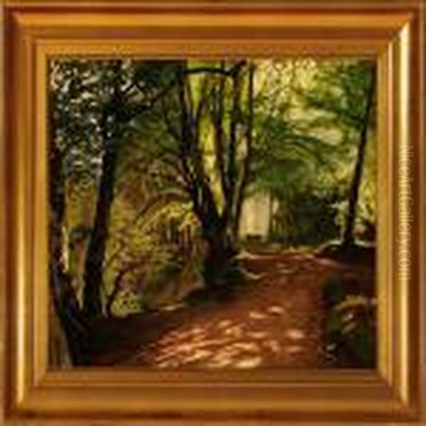 Path Through A Summer Forest - view 1