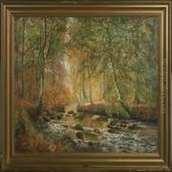 Forest Scenery - view 1