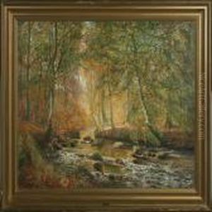 Forest Scenery Forest Scenery