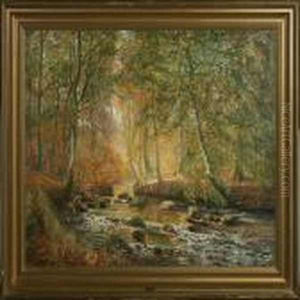 Forrest Scenery - view 1