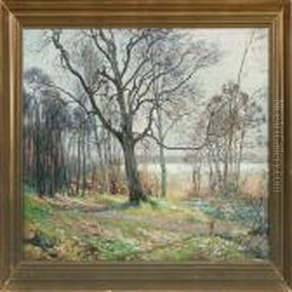 Spring Forest With Anemone - view 1
