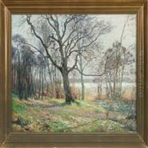 Spring Forest With Anemone