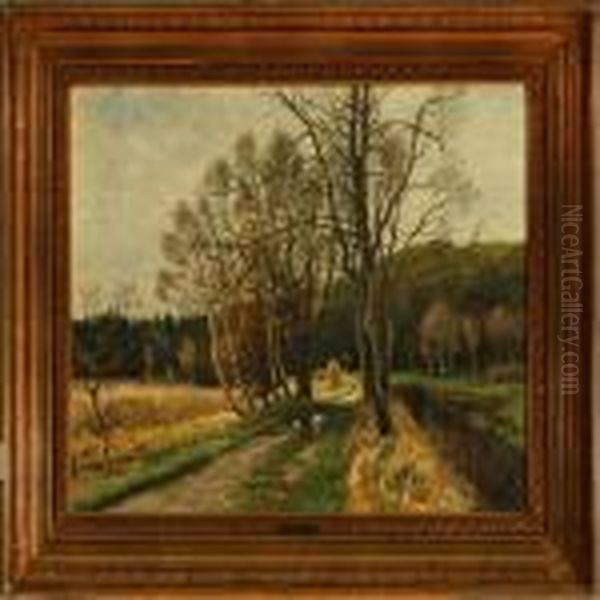 Autumn Day At Naesseskoven Forest In Holte - view 1