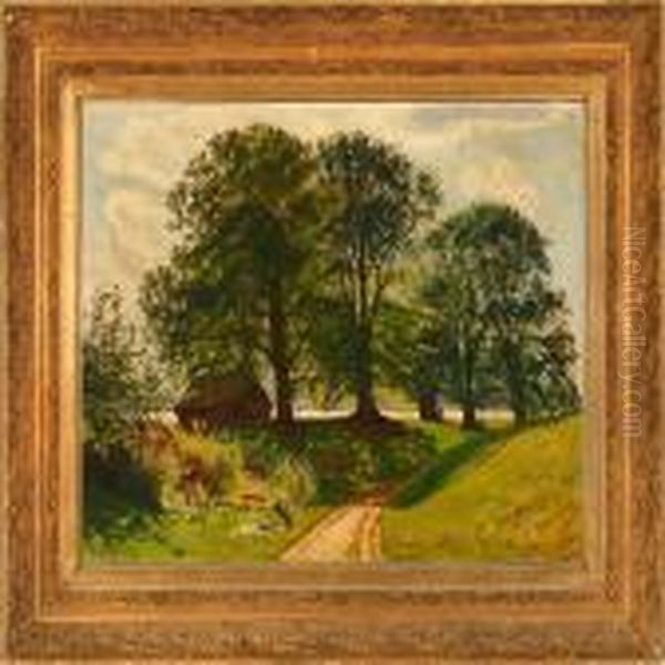 Summer Morning At A Country Road - view 1