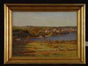 Blick Uber Den Vejle Fjord