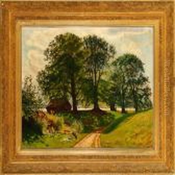 Summer Morning At Acountry Road - view 1
