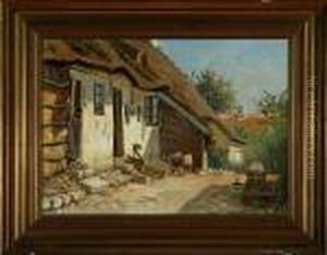 Poultry On A Yard
