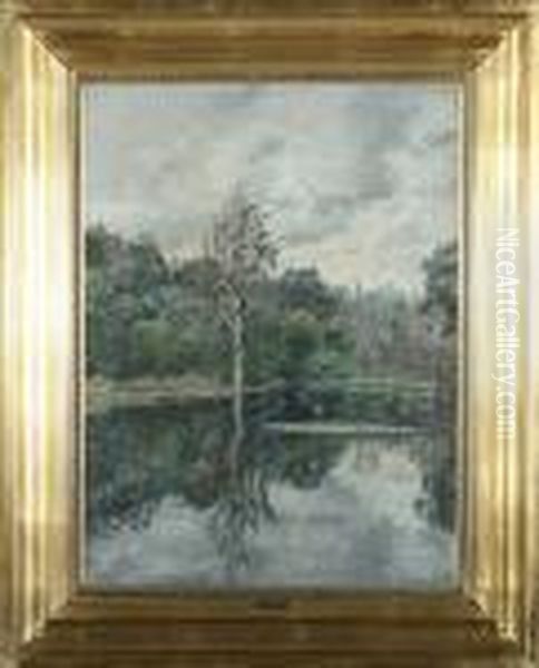 Landscape By A Forrest Lake - view 1