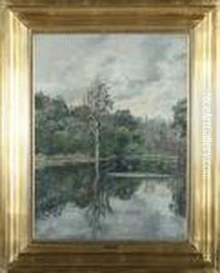 Landscape By A Forrest Lake Landscape By A Forrest Lake
