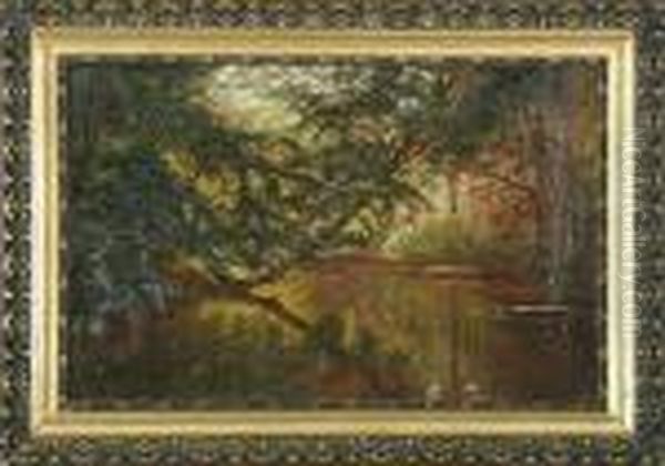 Forest With Stream - view 1
