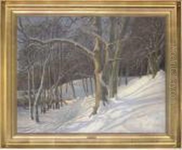 A Path Through The Woodland - view 1