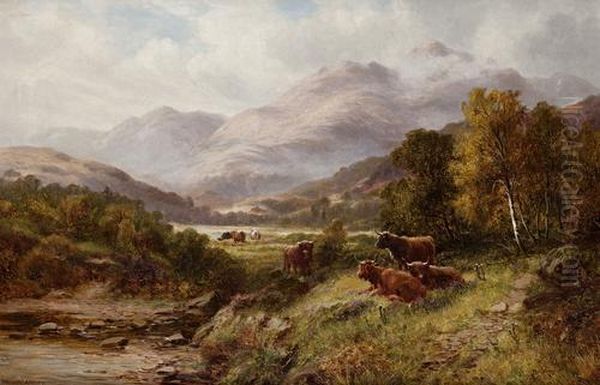 Highland Cattle - view 1