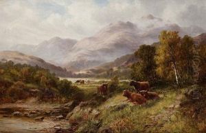 Highland Cattle