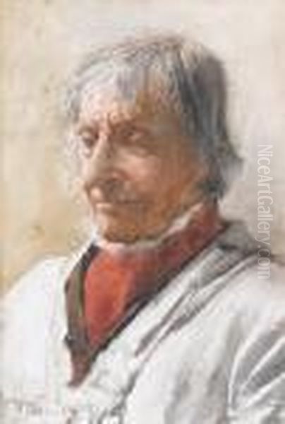 The Old Shepherd - view 1