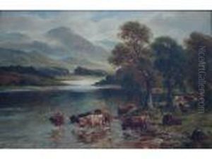 Highland Cattle In A River