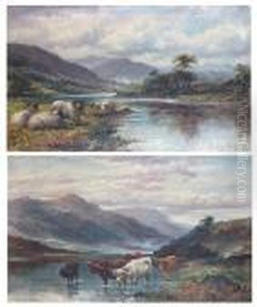 Highland Cattle Watering At The Riverside - view 1