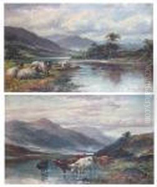 Highland Cattle Watering At The
Riverside,together With Another Of Sheep At The Waters Edge - view 1