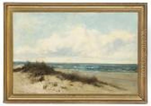 A Tranquil Beach - view 1